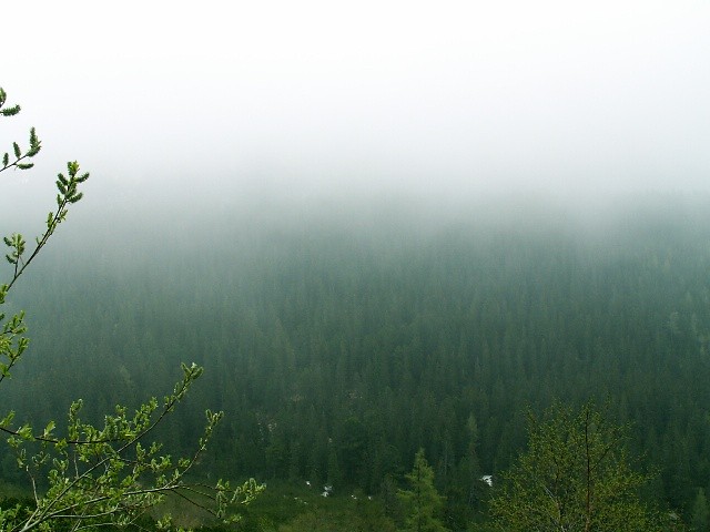 mist