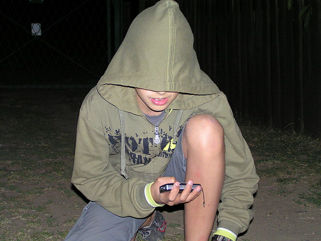 Wpis dzikaswinia