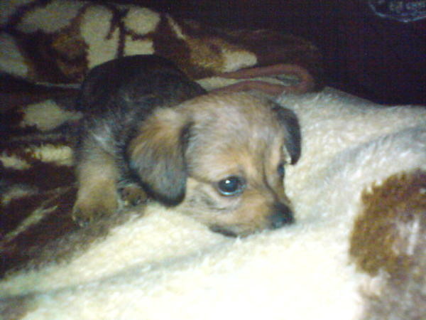 Junior ;D