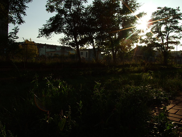 Wpis lidziia