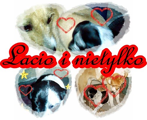 acio i nietylko 