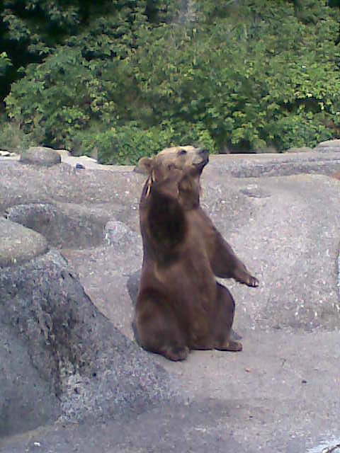 Misio:)