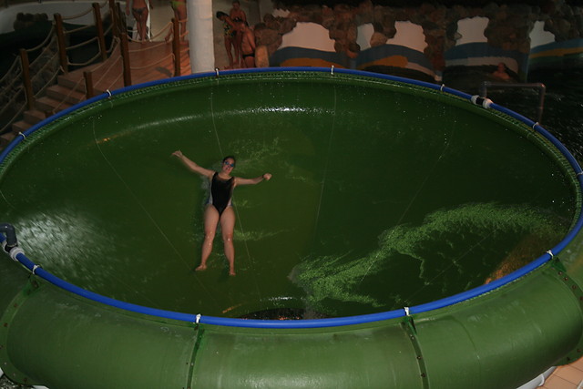 Cebula.