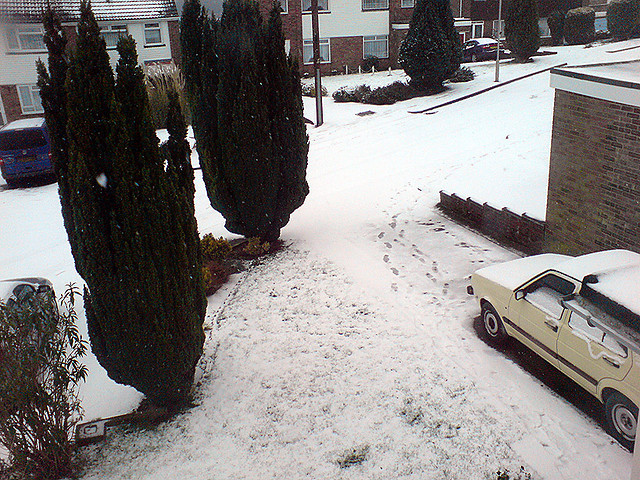 Snow day!