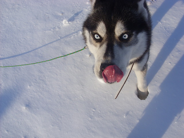 Ares :)