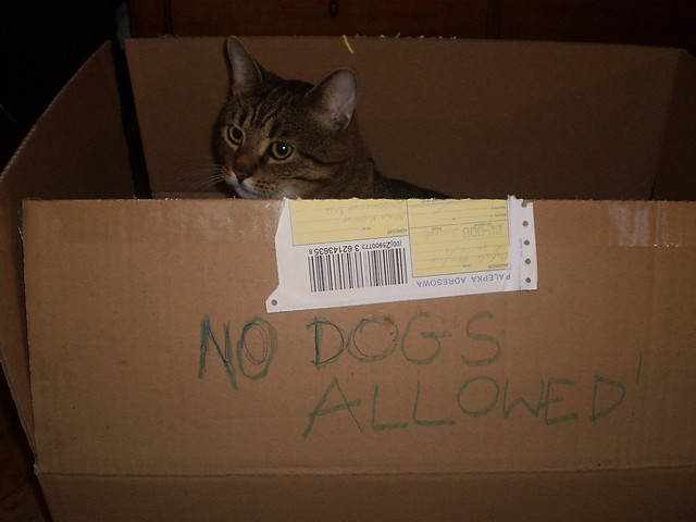 No dogs allowed!