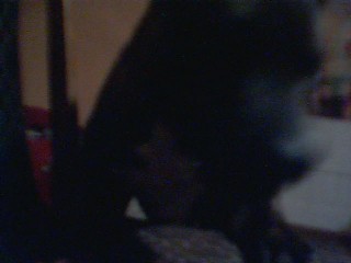Wpis xcrazyxsarax