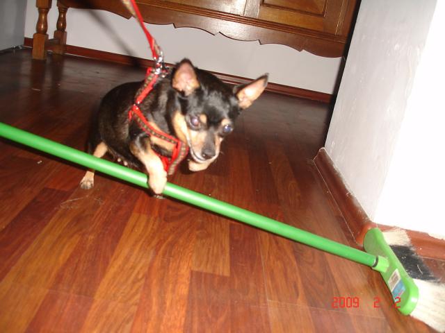 Nusia