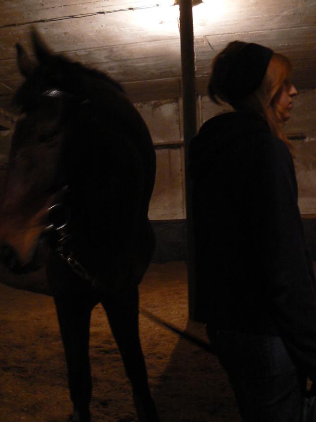 Wpis stables1