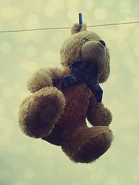 misiek ;d