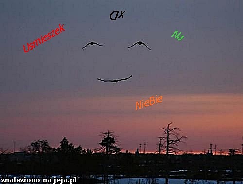 :-) xd
