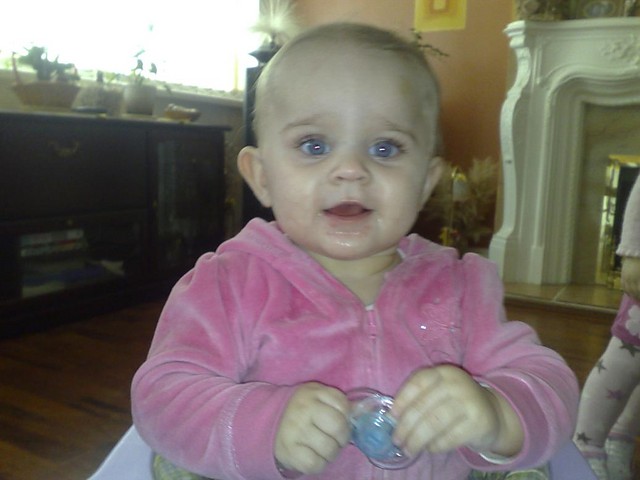 Wicia 8mies