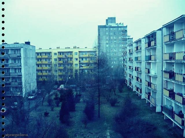 Wpis dalijejaparat0