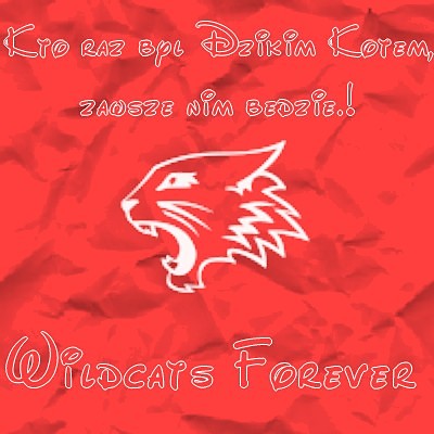 Wildcats 4ever