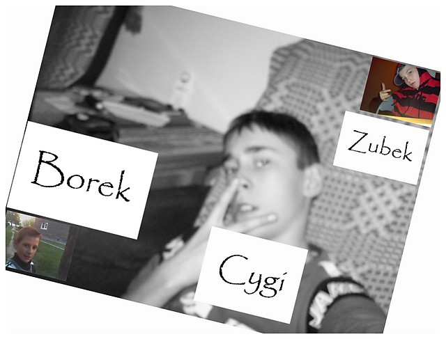 Ziomy