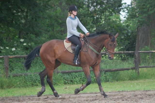 Wpis stables1