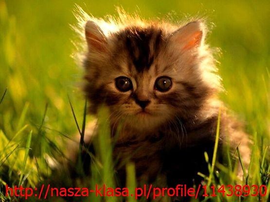 Wpis weronika111xxx