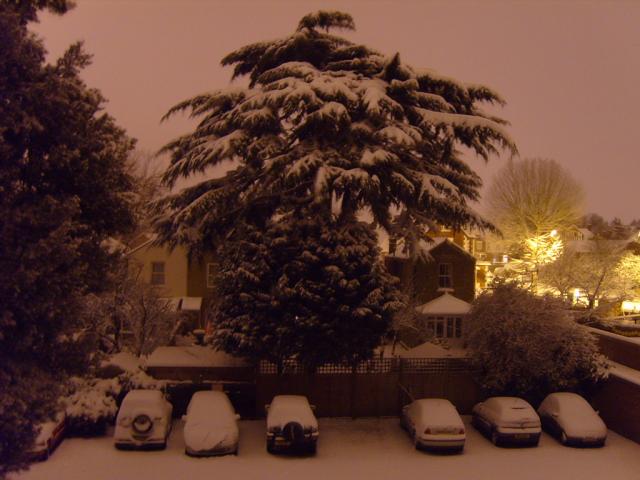 Snowfall 02.02.09