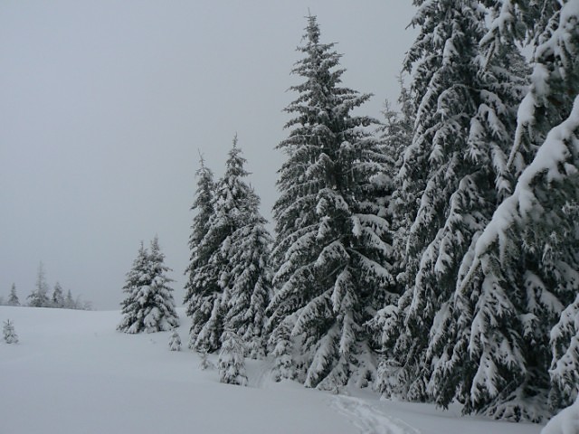 Wpis mojewyprawy