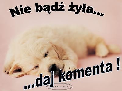 Wpis komentarz0