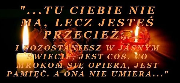 Wpis grzesio16