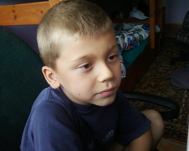Wpis kamyszek8