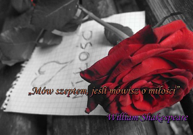 WaLeNtYnKi!!!:*