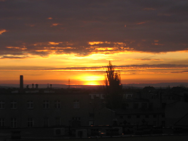 Zwyko.
