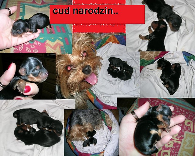 co to jest cud???