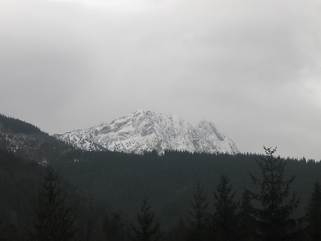 Wpis dagus23