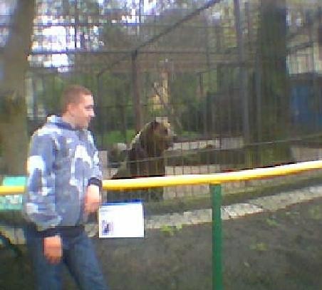 w zoo