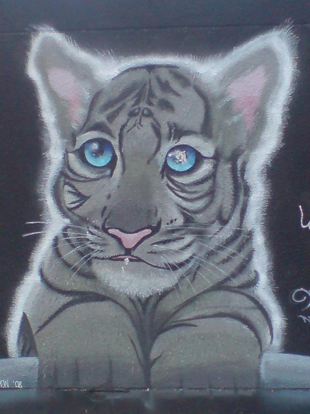 grafiti