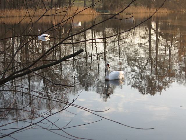 abdzitka 