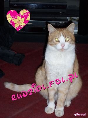 Wpis rudziol