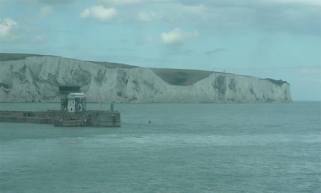 clover over dover
