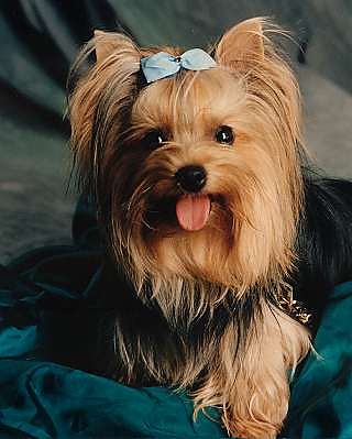 Lola :*