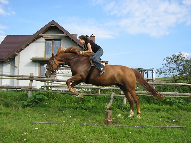 Wpis maartaa1