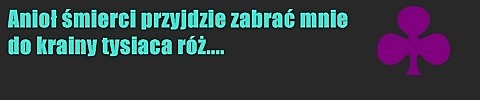 Wpis werciaemo
