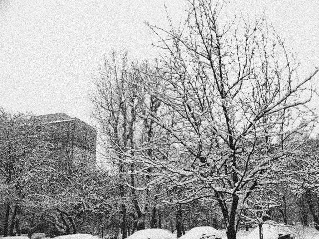 Winter
