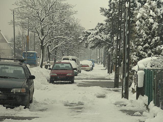 winter