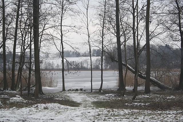 Utopi koszmary, zala lodem i