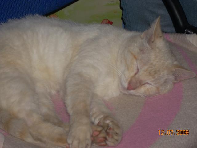 Wpis kiniusia1296