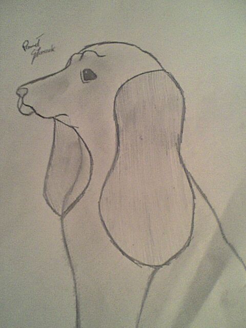 piesek ;D