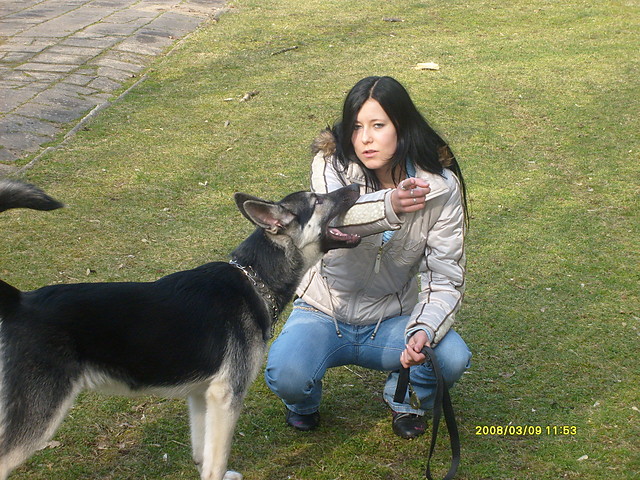 Wpis niucha2308
