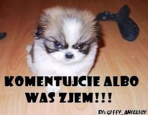 komentuj