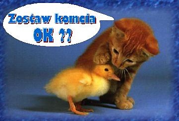 koment