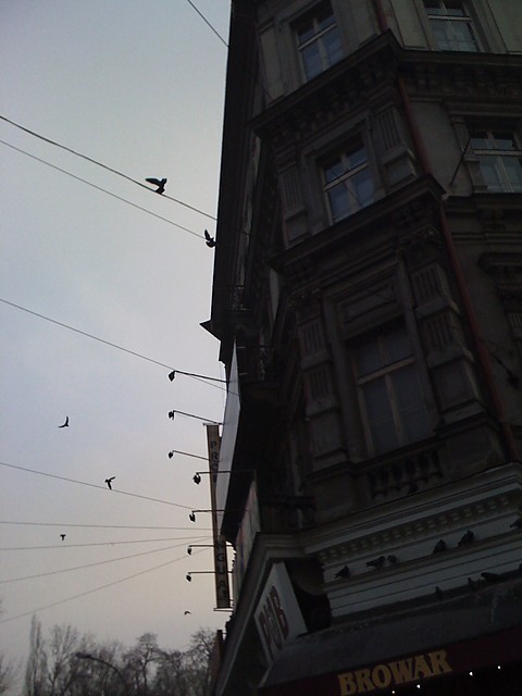 cracow.