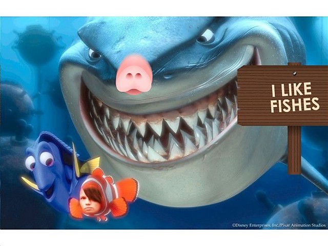 a o to kumple NEMO