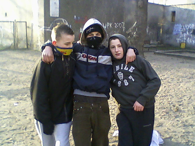 Wpis mrowka15