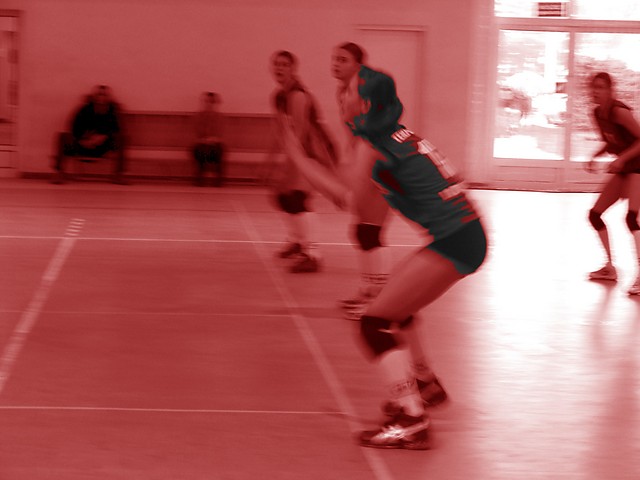 Wpis fazajolci